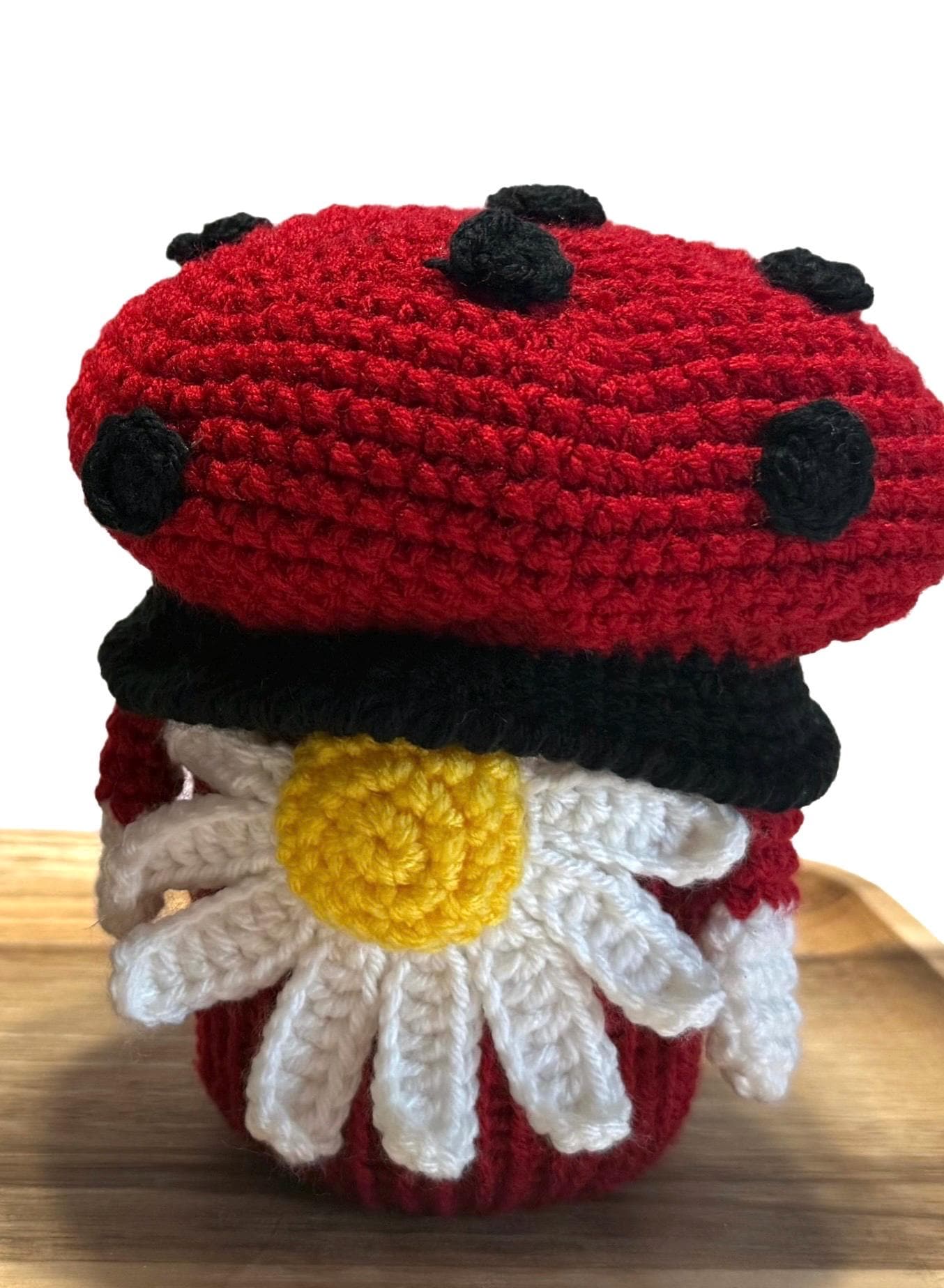 Lady Bug and Bee Gnome