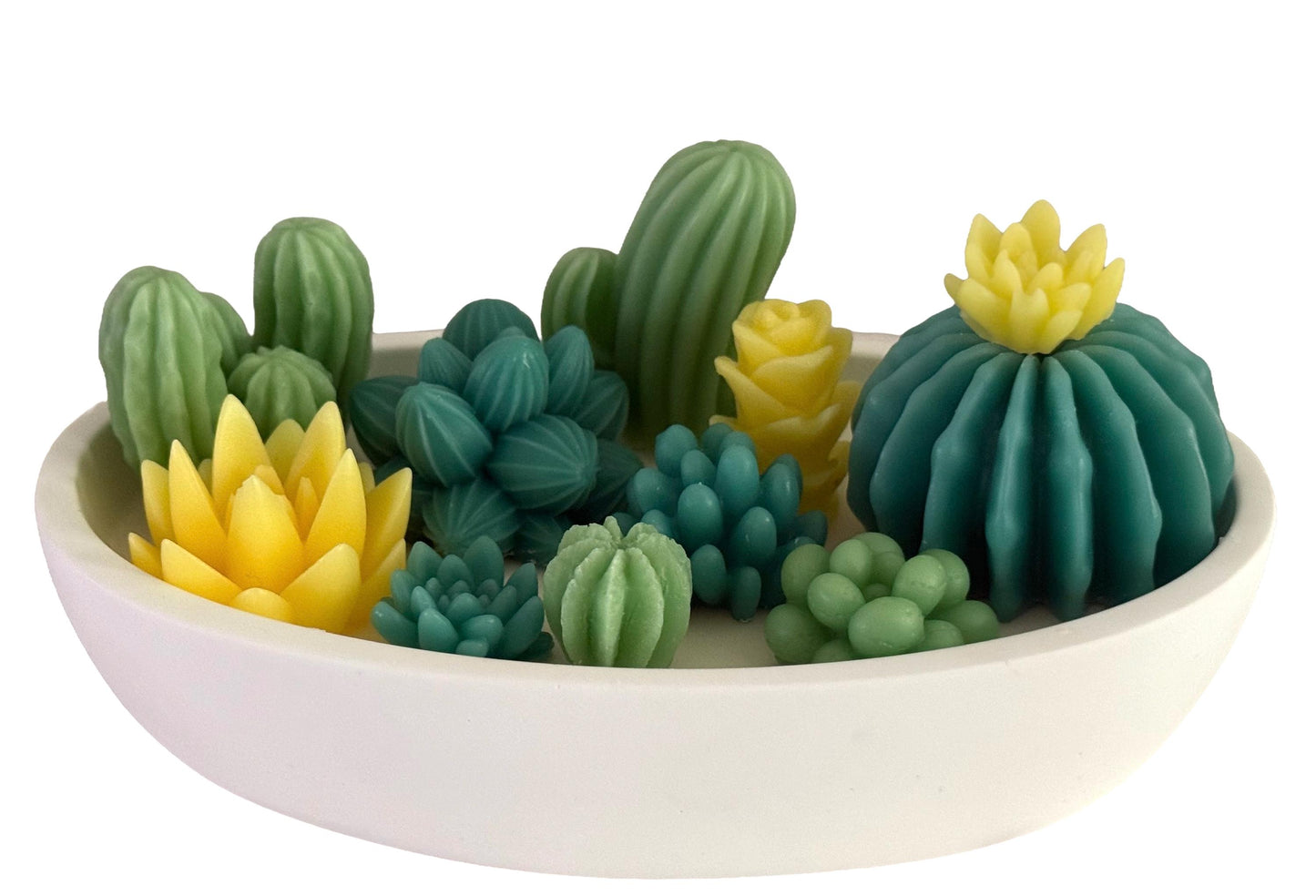 Succulents  Handmade Soy Candles, Cozy Home Decor, Holiday Decorations, Housewarming Gift, Luxury Candle
