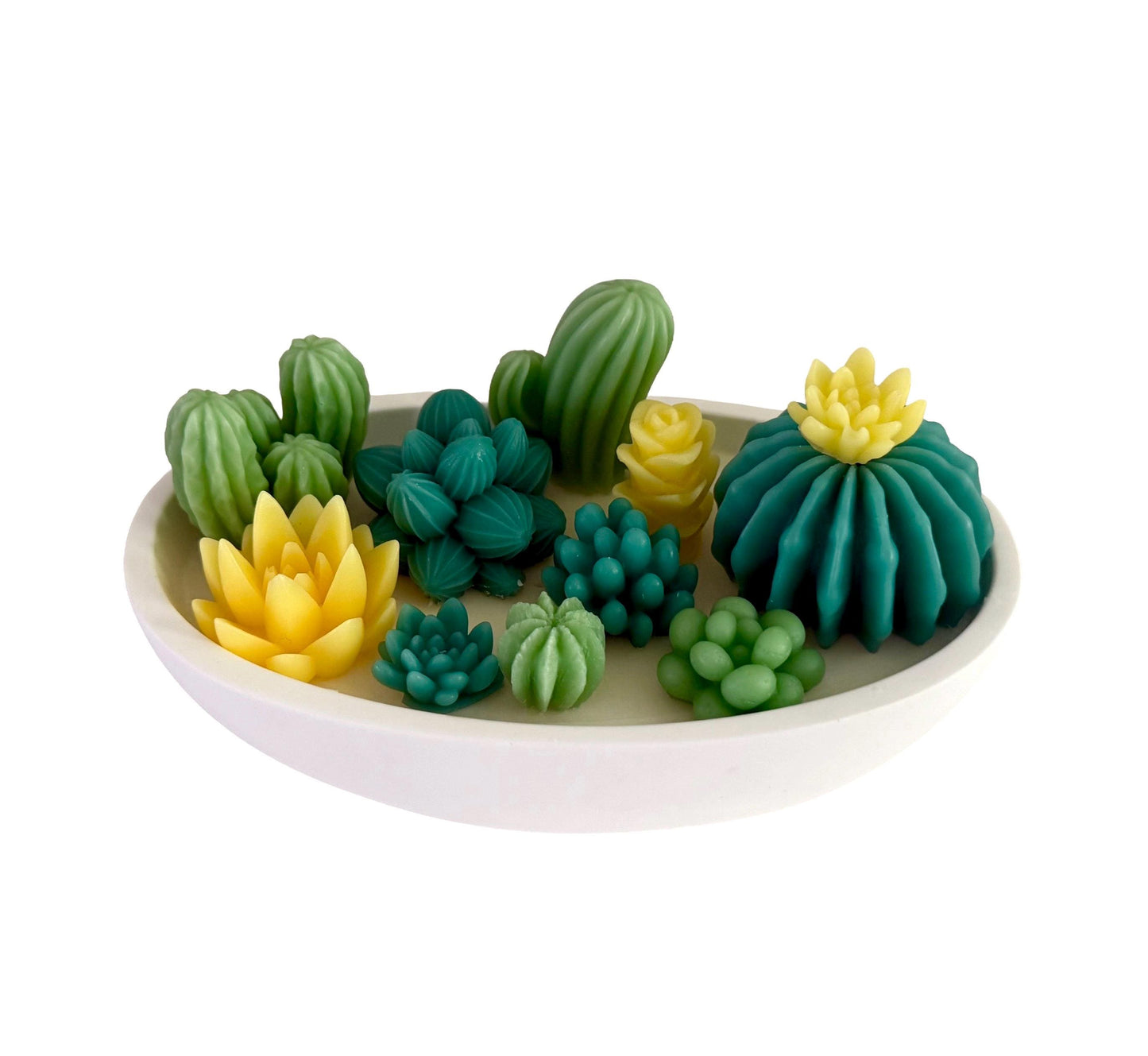Succulents  Handmade Soy Candles, Cozy Home Decor, Holiday Decorations, Housewarming Gift, Luxury Candle
