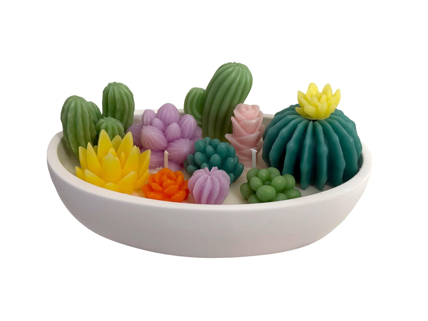 Succulents  Handmade Soy Candles, Cozy Home Decor, Holiday Decorations, Housewarming Gift, Luxury Candle