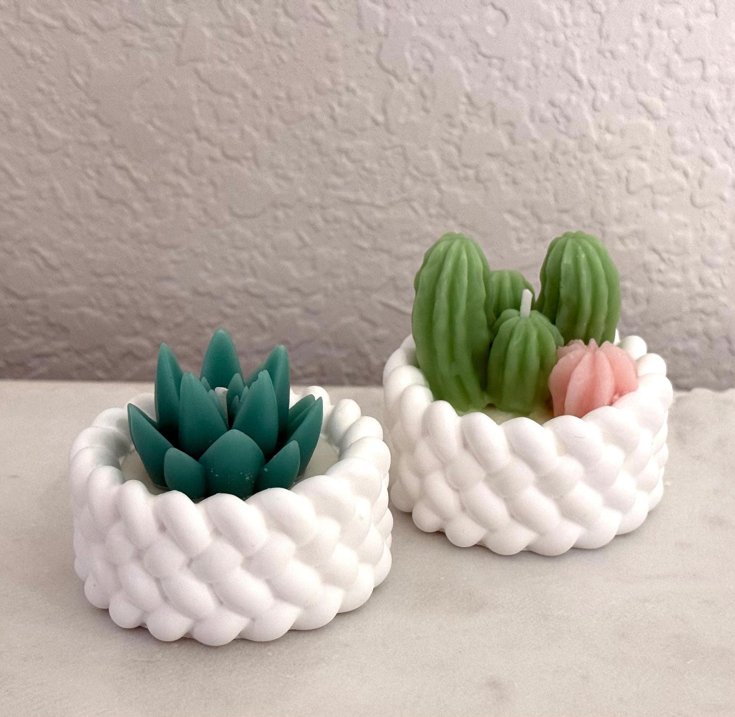 Succulents  Handmade Soy Tea Light Candles