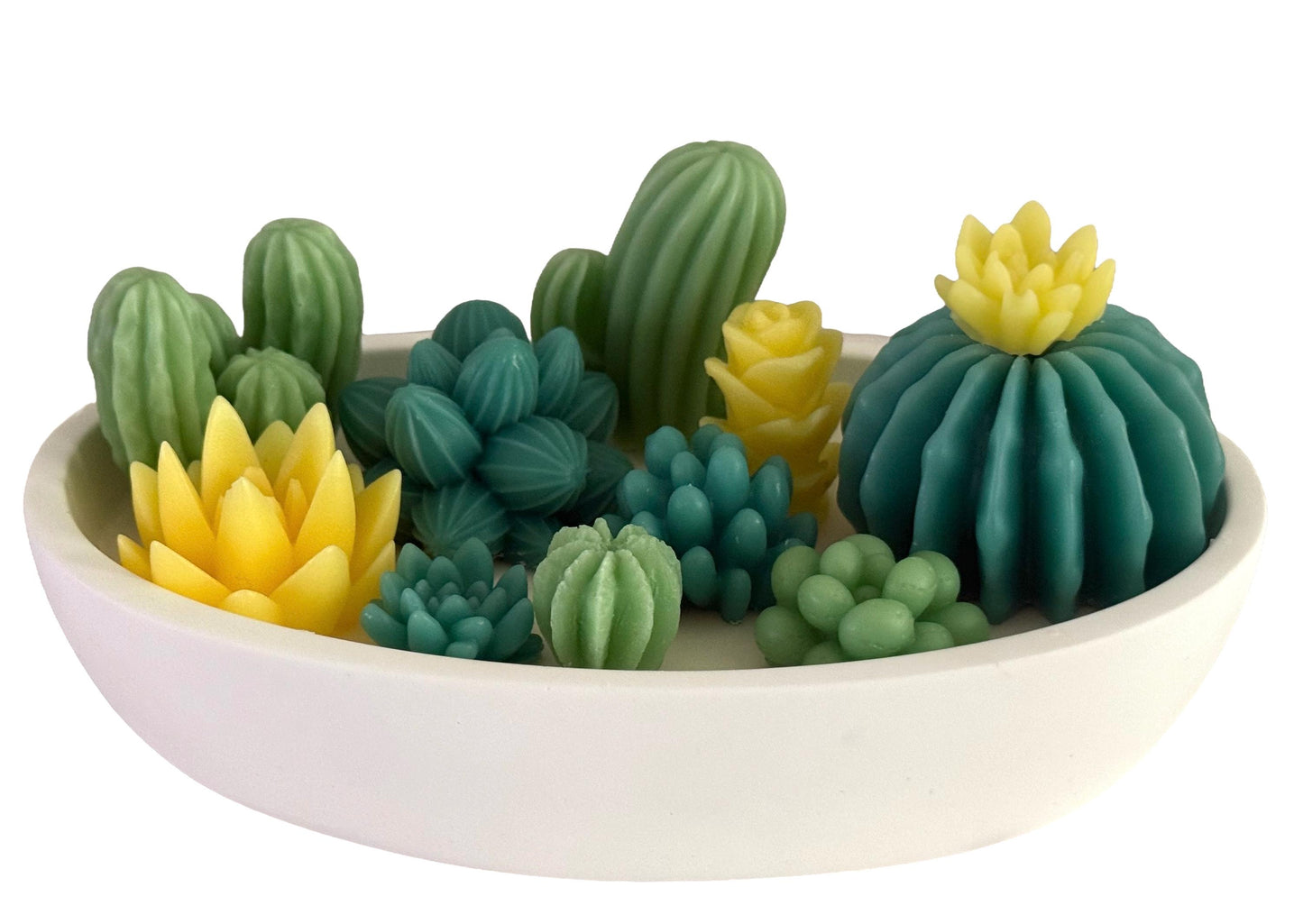 Succulents  Handmade Soy Candles, Cozy Home Decor, Holiday Decorations, Housewarming Gift, Luxury Candle