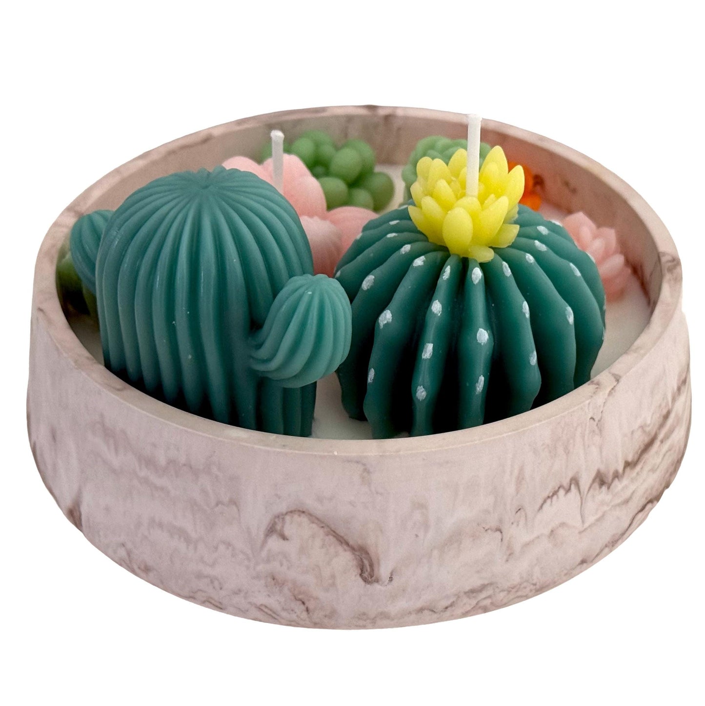 Succulents  Handmade Soy Candles, Cozy Home Decor, Holiday Decorations, Housewarming Gift, Luxury Candle