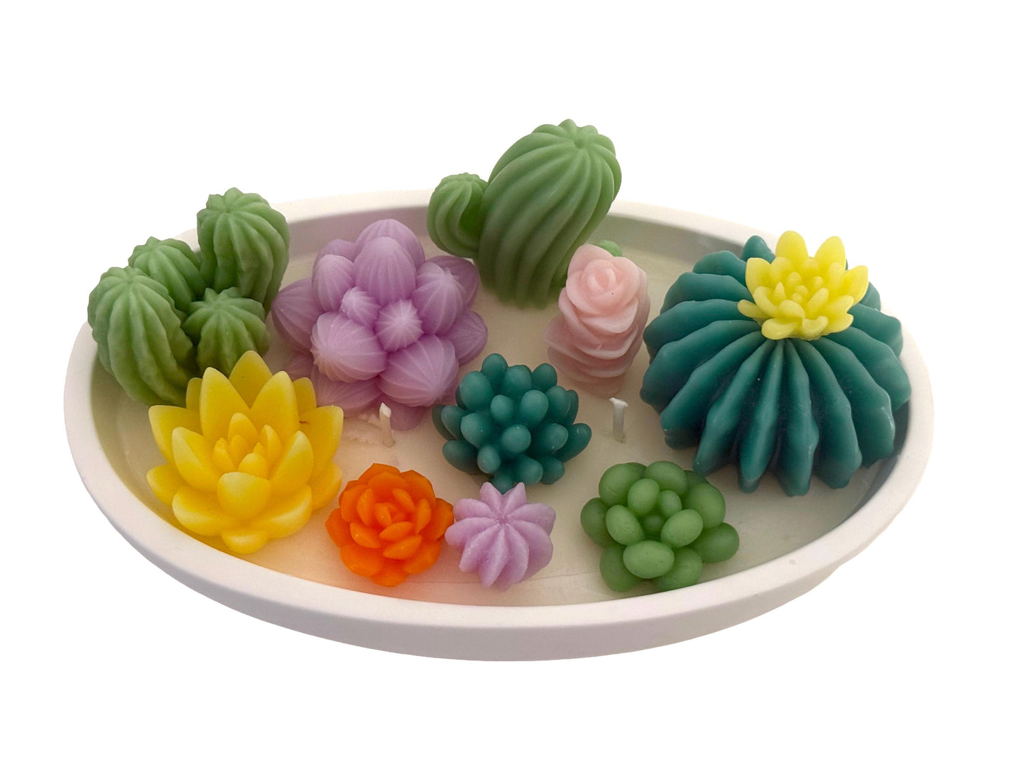 Succulents  Handmade Soy Candles, Cozy Home Decor, Holiday Decorations, Housewarming Gift, Luxury Candle