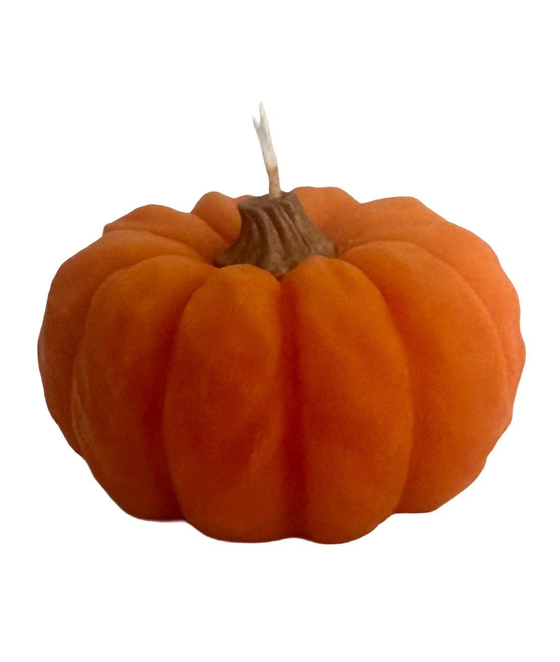 Halloween Handmade Soy Candles, Fall Home Decor, Holiday Decorations